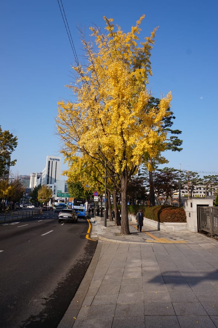 가을